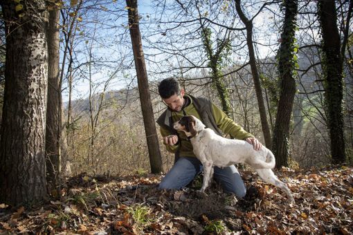 Foto di Tino Gerbaldo