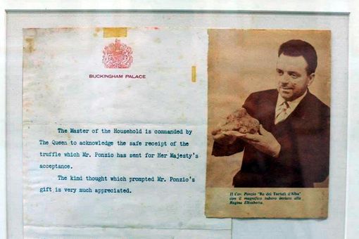 Il Comm.re Roberto Ponzio e la gratitudine della Regina Elisabetta per il tartufo bianco ricevuto nel 1959 (Foto: museotartufoalba.it) Il Comm.re Roberto Ponzio e la gratitudine della Regina Elisabetta per il tartufo bianco ricevuto nel 1959 (Foto: museotartufoalba.it)