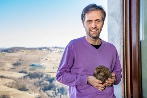 Il veterinario Massimo Vacchetta, da otto anni gestisce il centro recupero ricci "La Ninna" di Novello