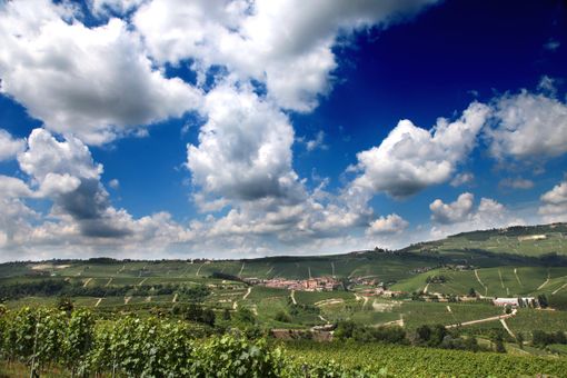 Il paese di Barolo dove, il 4 marzo, il museo del vino WiMu riaprirà al pubblico dopo la pausa invernale