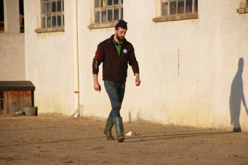 Francesco munge una mucca di razza Valdostana Pezzata Rossa nella stalla di Costigliole Saluzzo