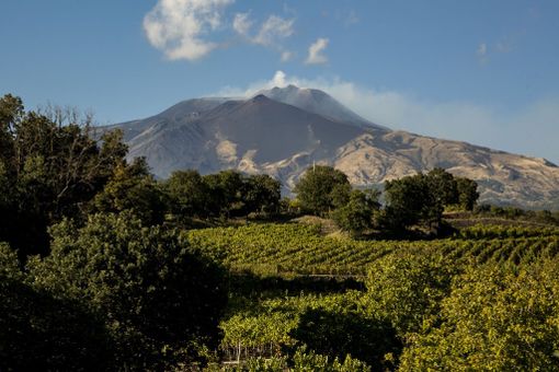 Etna & Barolo: istituzioni e produttori siciliani ospiti nelle Langhe in occasione della Fiera del Tartufo Etna & Barolo: istituzioni e produttori siciliani ospiti nelle Langhe in occasione della Fiera del Tartufo