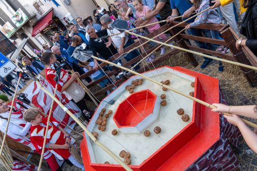 Alba, il centrodestra all'attacco: "Tagliato di 15.000 euro il contributo annuo a favore dei Borghi cittadini" Alba, il centrodestra all'attacco: "Tagliato di 15.000 euro il contributo annuo a favore dei Borghi cittadini"