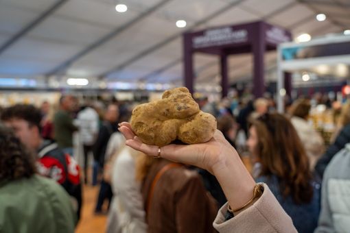 La Fiera del Tartufo Bianco d’Alba si prolungherà fino all’Immacolata La Fiera del Tartufo Bianco d’Alba si prolungherà fino all’Immacolata