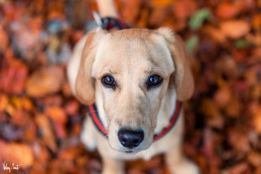 Foto di Valerio Minato Foto di Valerio Minato