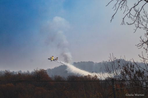 Il canadair in azione Foto Giulia Martini