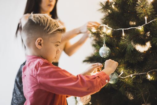A Mondovì dopo le feste gli alberi di Natale tornano alla natura