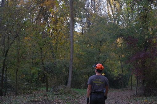 "Rigeneriamo la Bellezza": a Narzole riaprono i sentieri dell'eremita e le antiche strade romane