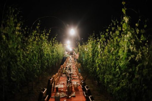La modella Afef Semmour alla "Taulaluuunga" della Cantina Destefanis di Canale La modella Afef Semmour alla "Taulaluuunga" della Cantina Destefanis di Canale
