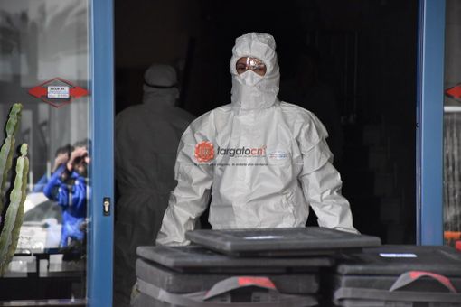 In Piemonte lo 0,2% dei tamponi effettuati nelle ultime 24 ore ha dato esito positivo