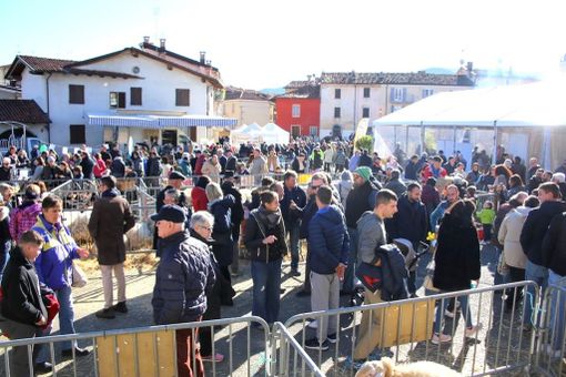 Alcuni scatti dalla passata edizione della manifestazione (foto Villanova Mondovì Turismo e Manifestazioni)