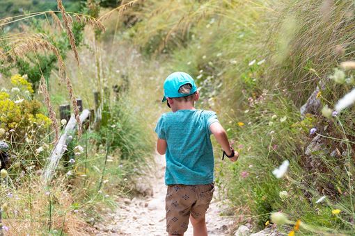 Foto generica - Pixabay