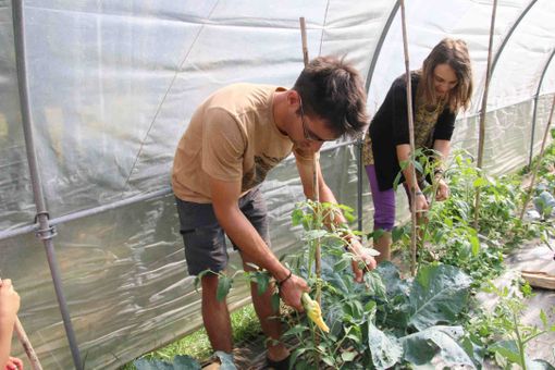 In Granda le imprese dei giovani sono 5.900 (9%). Negli ultimi dieci anni si sono ridotte di mille unità