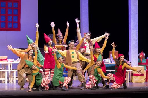 "Gli elfi raccontano...": spettacolo per bambini al Teatro Salomone di Cherasco "Gli elfi raccontano...": spettacolo per bambini al Teatro Salomone di Cherasco