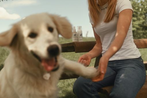 Elisa Vorgnano, giovane di Busca che opera come naturopata animale Elisa Vorgnano, giovane di Busca che opera come naturopata animale