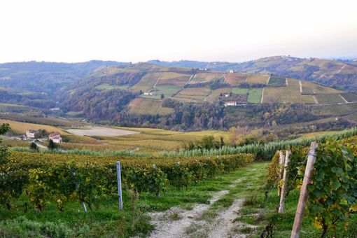 Le colline di Trezzo Tinella