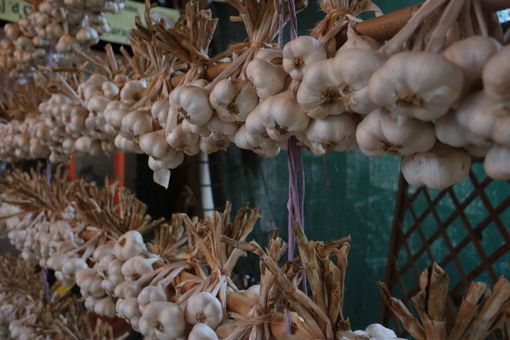 A Caraglio arriva la prima sagra della 'bagna caöda' fatta rigorosamente con l'Aj d'Caraj [VIDEO]