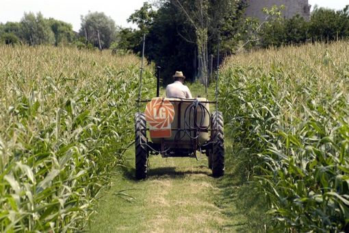1° Maggio e la tutela del lavoro: i consigli di Epaca Coldiretti 1° Maggio e la tutela del lavoro: i consigli di Epaca Coldiretti