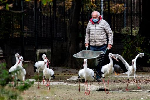 Foto di Filippo Marmo