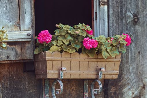 Foto da Pixabay Foto da Pixabay