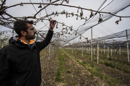 Aprile 2021: in Piemonte, uno dei più freddi degli ultimi 64 anni. Temperature in picchiata il 7 e 8 aprile