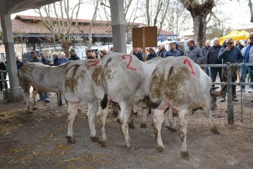 Foto di Luciano Cravero