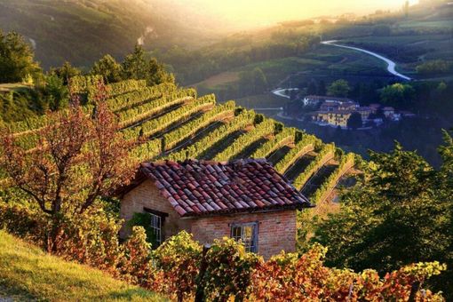 Dogliani, pedalata gourmet per la Fiera della Ciliegia 2023 Dogliani, pedalata gourmet per la Fiera della Ciliegia 2023