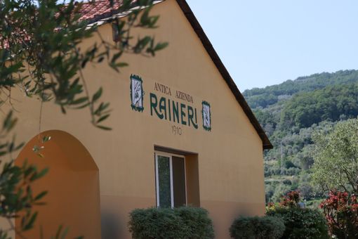 Fruttato, piccante e amaro. Imparare a degustare l'olio evo all'Antica Azienda Raineri di Imperia [FOTO E VIDEO]