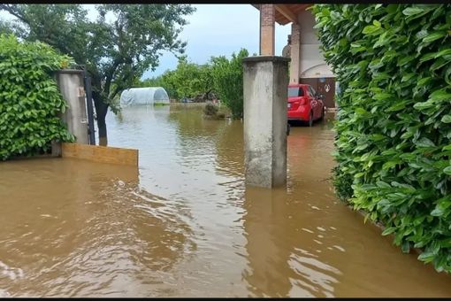 A Trinità si contano i danni dell'esondazione del torrente Mondalavia, la più devastante che il paese ricordi [FOTO]