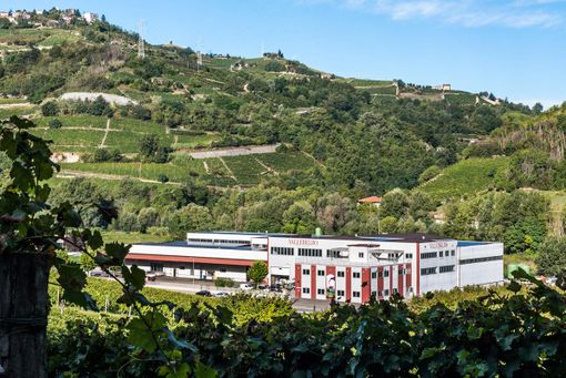 Santo Stefano Belbo: cantina Vallebelbo annuncia "alleanza strategica" con Veraison Group Santo Stefano Belbo: cantina Vallebelbo annuncia "alleanza strategica" con Veraison Group