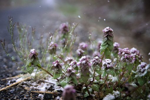 METEO / Settimana all'insegna del bel tempo, ma freddo in arrivo a Capodanno METEO / Settimana all'insegna del bel tempo, ma freddo in arrivo a Capodanno