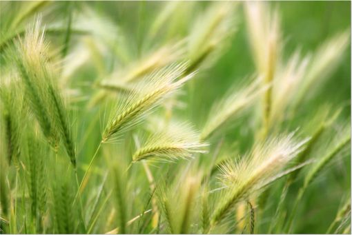 Foto generica Foto generica