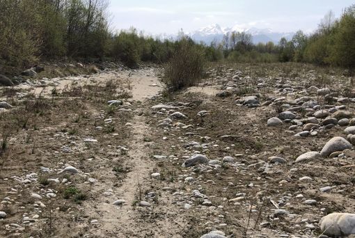 In Piemonte manca l’acqua, Arpa fa tremare i cittadini: “Potrebbe essere necessario razionarla” [VIDEO]