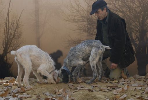 Il regista Remo Schellino premiato con lo "Zappino del Trifulau" al Cinema Moretta di Alba