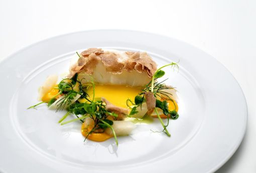 Uno dei piatti che rappresentano il tartufo e che si potranno ammirare al Museo Uno dei piatti che rappresentano il tartufo e che si potranno ammirare al Museo