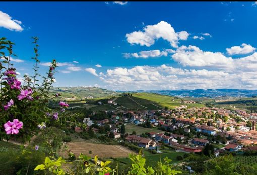 Turismo a misura di disabile: arriva il portale "Roero per tutti" Turismo a misura di disabile: arriva il portale "Roero per tutti"