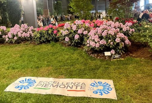 Fiori, emozioni e musica vegetale: Clorofilla 2025 fa cantare le piante nel cuore di Alba