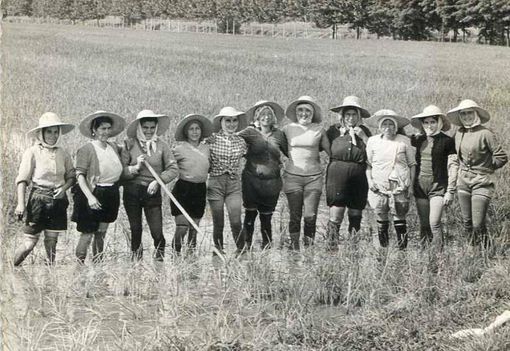 Mondine: donne, risaie e rivoluzioni sociali tra Piemonte e Lombardia