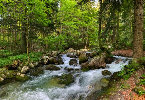 Immagine di repertorio