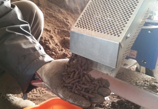 Immagine di repertorio Immagine di repertorio