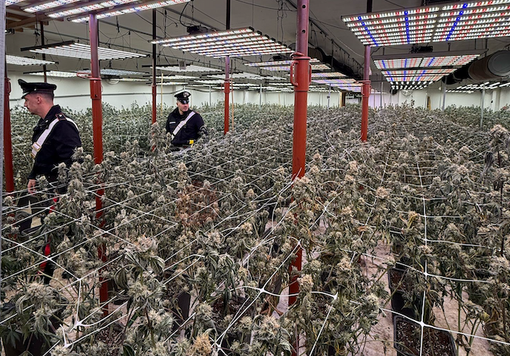 I carabinieri di Bra sono stati impegnati nell'operazione “Djali” (Copyright TargatoCn) I carabinieri di Bra sono stati impegnati nell'operazione “Djali” (Copyright TargatoCn)