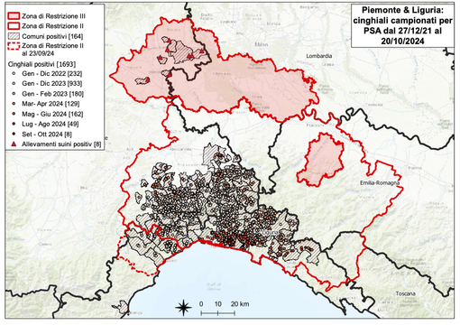 Peste suina: due nuove positività in Piemonte e Liguria, 1693 il totale dei casi positivi Peste suina: due nuove positività in Piemonte e Liguria, 1693 il totale dei casi positivi