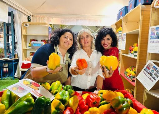 Il peperone tra mito, terra e tavola: a LIVE.IT Renata Cantamessa dialoga con Michele A. Fino e Renata Fiorina