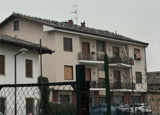Il tetto del condominio di Pollenzo su cui "risiedono" circa 300 colombi