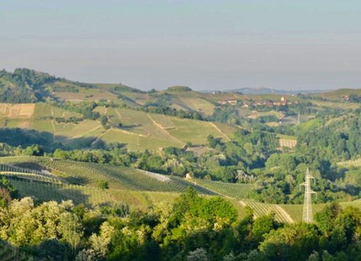 Il Roero accoglie la primavera con sei appuntamenti (Foto Ecomuseo Rocche del Roero)