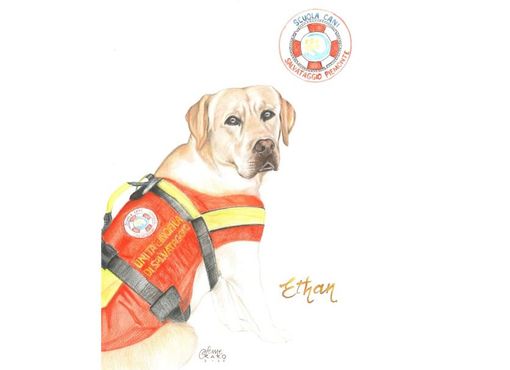 Cani super: ecco Ethan, protagonista del disegno di Francesca Semeraro