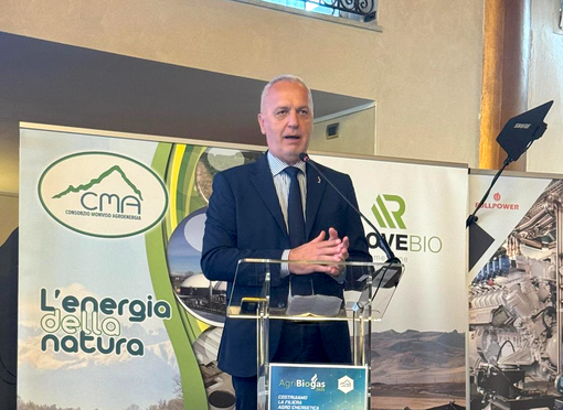 Il senatore Giorgio Maria Bergesio