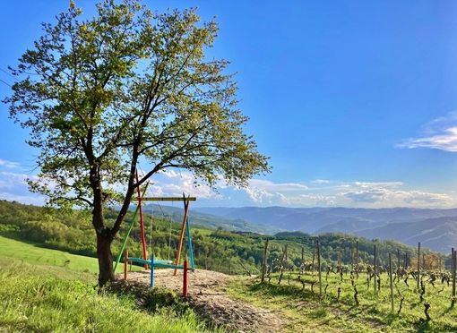 A Cossano Belbo una nuova app per "rintracciare" le panchine giganti A Cossano Belbo una nuova app per "rintracciare" le panchine giganti