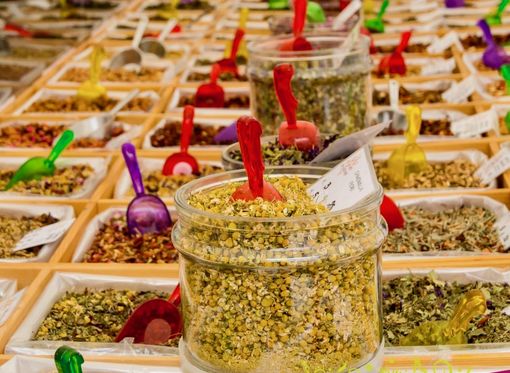QuintEssenza a Savigliano: le erbe officinali tra botanica e cucina