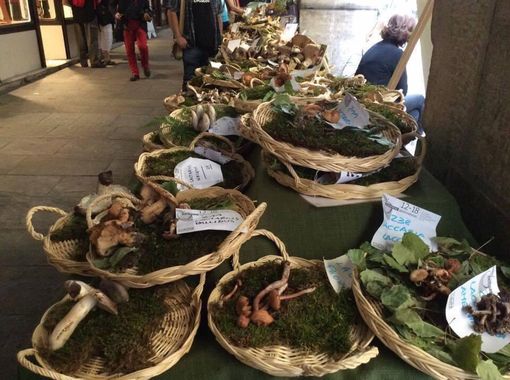 Appuntamenti nella Granda per questo ultimo fine settimana d’estate